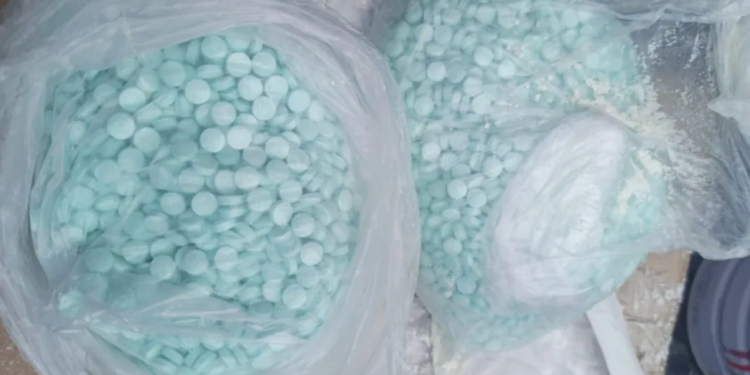 Sedena decomisa más de 10 mil dosis de drogas sintéticas en Querétaro