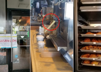 Por cucaracha, suspenden Starbucks de la Carretera Cancún DT