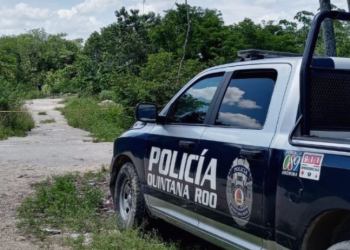 Hallan tres cuerpos en descomposición dentro de una fosa clandestina en Cancún