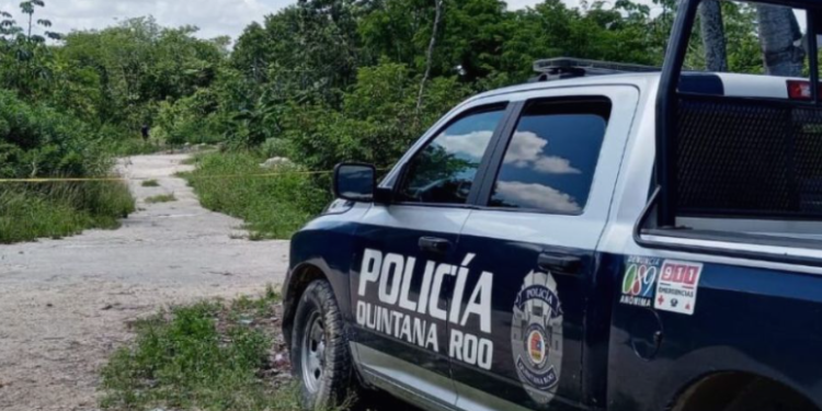 Hallan tres cuerpos en descomposición dentro de una fosa clandestina en Cancún