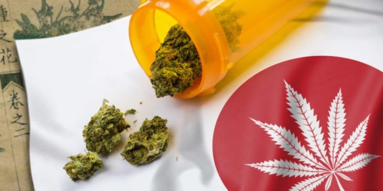 Expertos de Salud recomiendan a Japón aprobar medicamentos a base de Cannabis