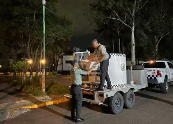 Resguardan diez granadas de fragmentación al interior de un paquete de mensajería en CDMX