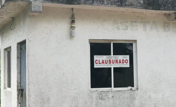 Profepa clausura el relleno sanitario de Kantunilkín