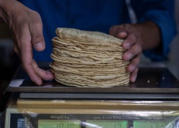 Sigue aumentando el precio de la tortilla en algunos estados del  país
