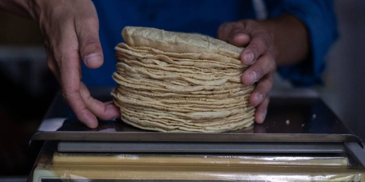 Sigue aumentando el precio de la tortilla en algunos estados del  país