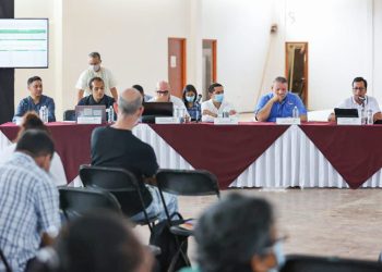 Ambientalmente viable, tramo 7 del Tren Maya; contribuirá a reordenar el territorio