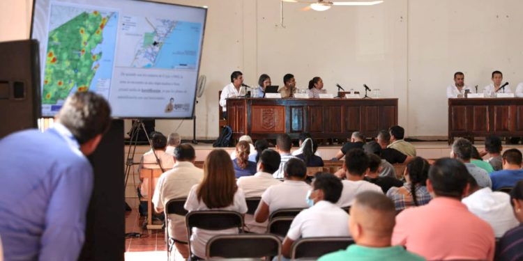 Tramo 6 del Tren Maya es ambientalmente viable; cumple legislación nacional y tratados internacionales