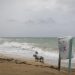 Tormenta tropical ‘Fiona’ se intensifica a huracán en las costas de Puerto Rico