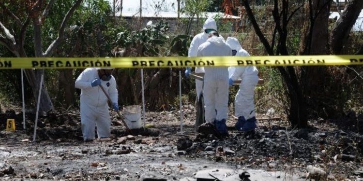 FGE localizan seis cuerpos en fosas clandestinas en Tecomán, CDMX