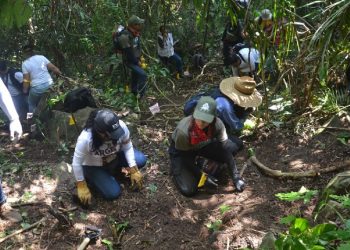 Sigue la búsqueda de restos humanos en fosas clandestinas de Veracruz