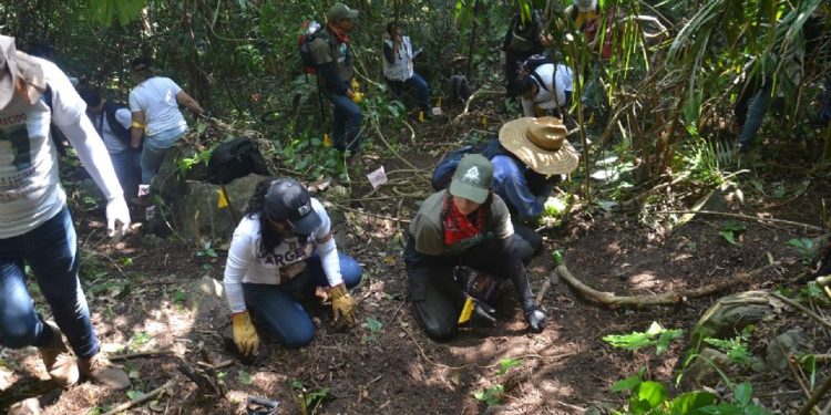 Sigue la búsqueda de restos humanos en fosas clandestinas de Veracruz