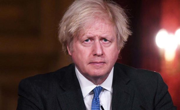 Estos son los posibles reemplazos de Liz Truss