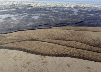 Derrame de combustible cubre animales y arena contamina playas en Salina Cruz