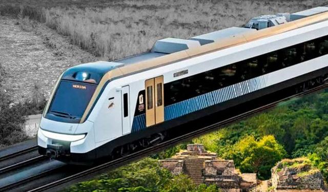 Recibe Tren Maya orden de transparencia para protección ambiental