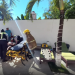 Hombre sufre quemaduras tras recibir descarga eléctrica en un hotel de Tulum