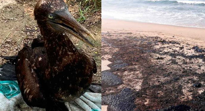 Playas de Oaxaca resultan afectadas tras derrame de petróleo