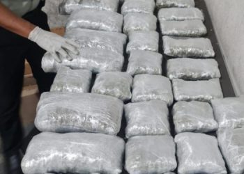 Decomisan 30 paquetes de marihuana en Cancún
