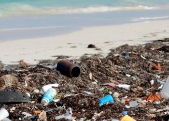 Abandono de las playas de Tulum ahuyentó la certificación Platino y la Blue Flag