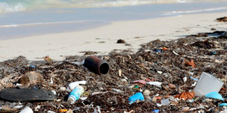 Abandono de las playas de Tulum ahuyentó la certificación Platino y la Blue Flag