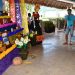 La FPMC invita a la inauguración del Altar de Muertos en Chankanaab para mostrar y promover las tradiciones mexicanas