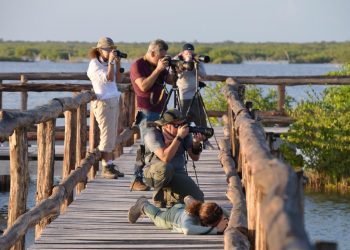 Cozumel es nombrado como la primera «Ciudad de las Aves» por su destacado destino ecoturismo