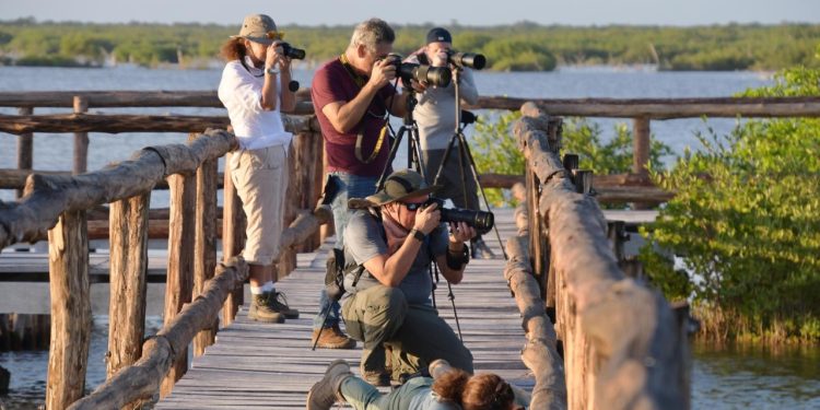 Cozumel es nombrado como la primera «Ciudad de las Aves» por su destacado destino ecoturismo