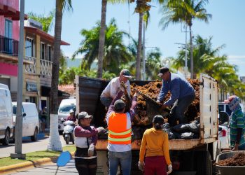 Recolectan en Cozumel más de tres mil toneladas de sargazo en lo que va del año