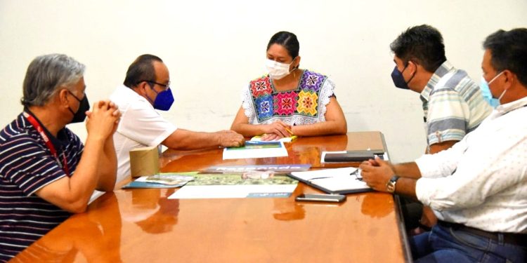 Convoca SEDARPE a participar en Censo Agropecuario 2022