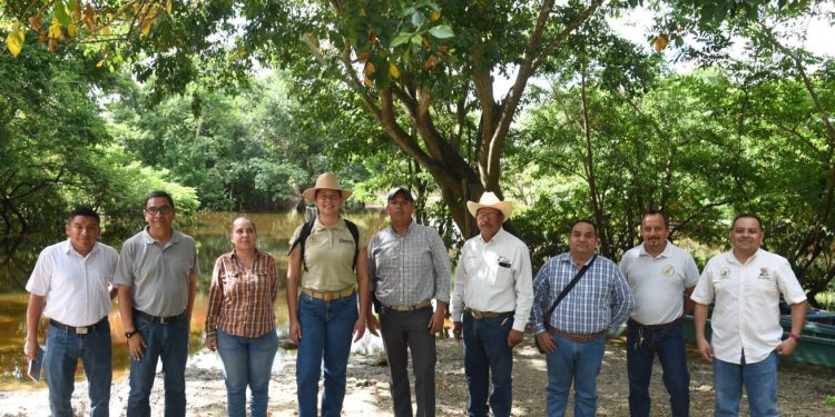 Supervisan trabajos en materia de sanidad SEDARPE, SENASICA, SINIIGA y Comité Pecuario de Q. Roo