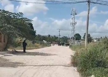Encuentran un cadáver en la Región 235 de Cancún