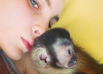 Tras denuncia de vecinos Belinda podría ir a la cárcel por tener animales exóticos en su casa