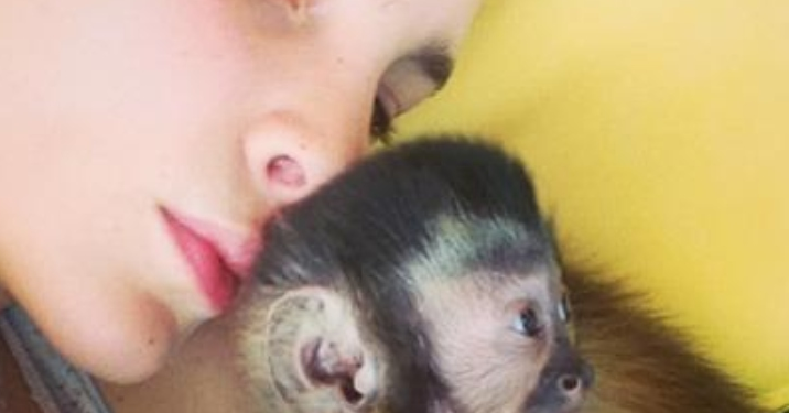 Tras denuncia de vecinos Belinda podría ir a la cárcel por tener animales exóticos en su casa