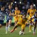 El clásico Tigres vs Monterrey partido en las liguillas de la Liga MX Femenil