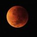 Este martes se registrará un eclipse lunar