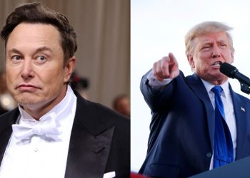 Restablece Elon Musk ciertas cuentas de Twitter bloquedas, la Donald Trump no