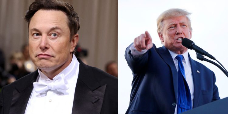 Restablece Elon Musk ciertas cuentas de Twitter bloquedas, la Donald Trump no