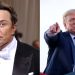 Restablece Elon Musk ciertas cuentas de Twitter bloquedas, la Donald Trump no