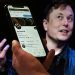 El nuevo dueño de Twitter Elon Musk dice que no se reativaran cuentas suspendidas