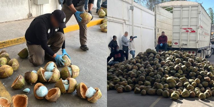 FGR decomisa cerca de 300 kilos de fentanilo dentro de cocos en frontera de México-EU