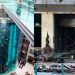El AquaDom explota, el acuario gigante de hotel de Berlín