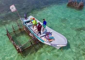 Langosteros de Cozumel reportan bajas ventas