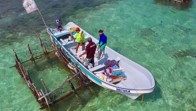 Langosteros de Cozumel reportan bajas ventas