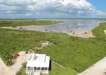 Emiten SOS en foro ambiental de Yucatán