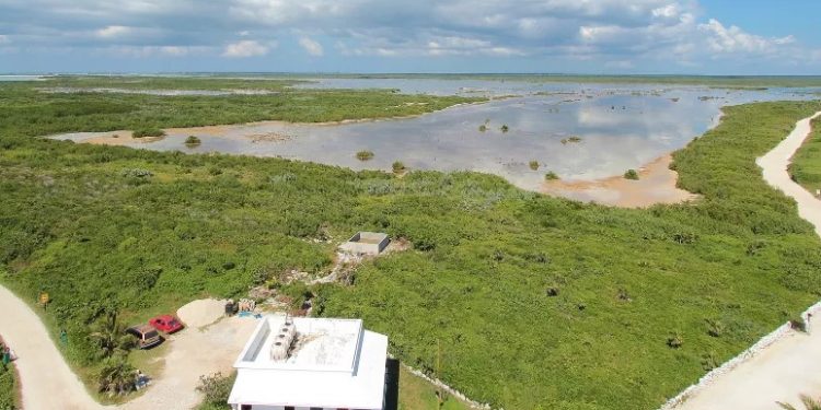 Emiten SOS en foro ambiental de Yucatán