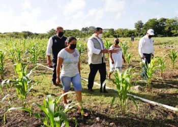 Alrededor de 20 diferentes productos de emprendedores del Centro Municipal se exhiben y venden en un supermercado yucateco