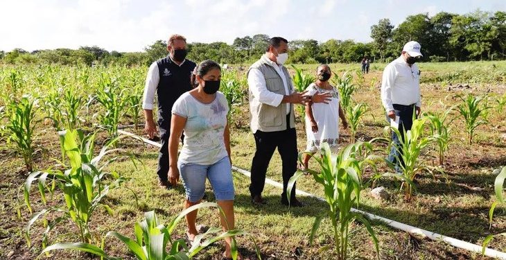Alrededor de 20 diferentes productos de emprendedores del Centro Municipal se exhiben y venden en un supermercado yucateco
