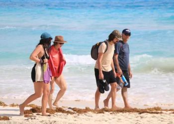 Llega el primer recale de sargazo en las costas de Playa del Carmen y Puerto Morelos