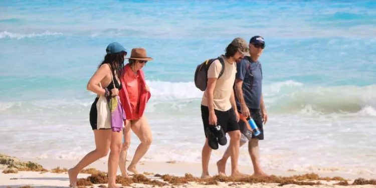 Llega el primer recale de sargazo en las costas de Playa del Carmen y Puerto Morelos
