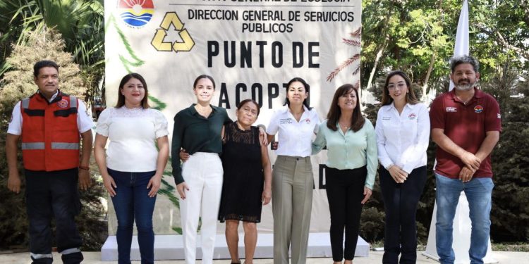 Habilitan 25 puntos de acopio de árboles de navidad