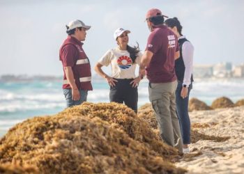 Mantenemos nuestras playas libres de sargazo: Ana Patricia Peralta